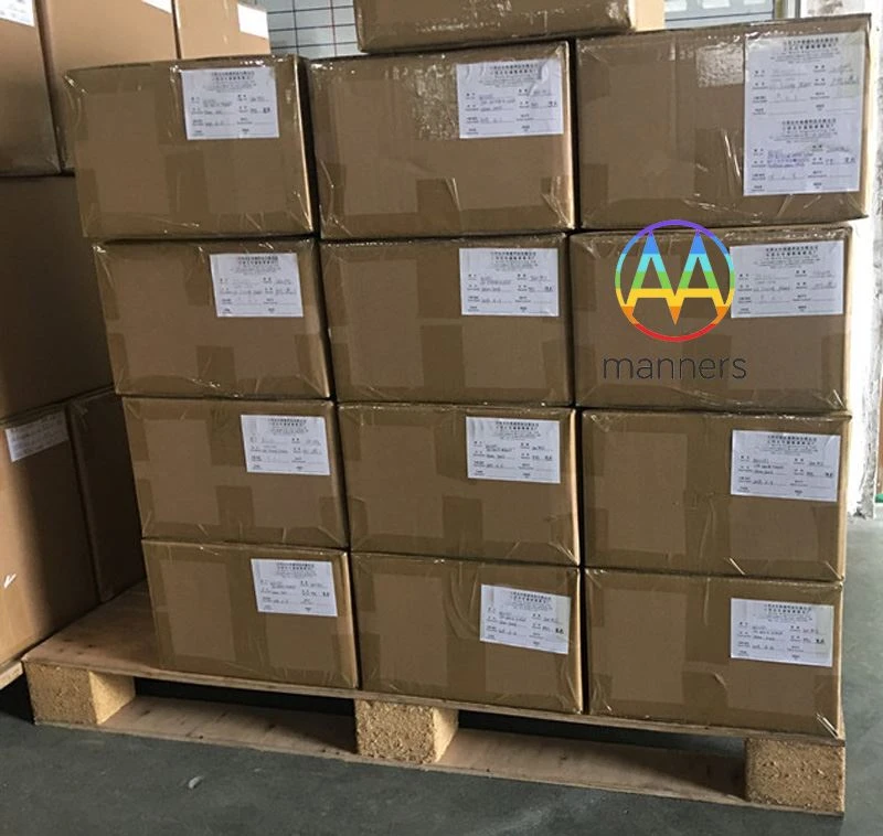 A agulha espinhal de 6.000 unidades para anestesia do cliente americano está ...