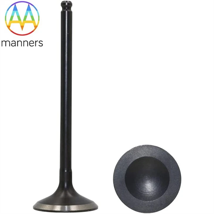 Titanium Intake Valve Parts